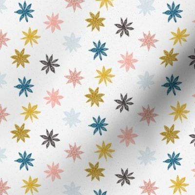 colorful star anise on light gray | small