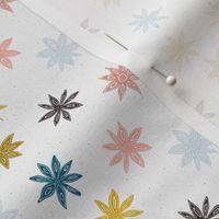 colorful star anise on light gray | small