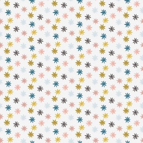 colorful star anise on light gray | small