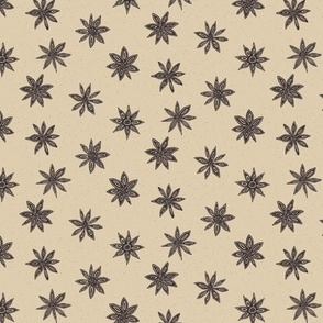 star anise on light grayish brown | medium