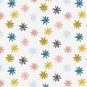 colorful star anise on light gray | medium