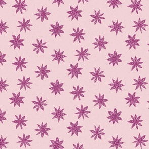 star anise | berry on cotton candy  | medium