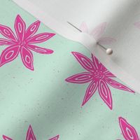 pink star anise on mint green | medium