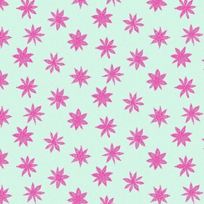 pink star anise on mint green | medium