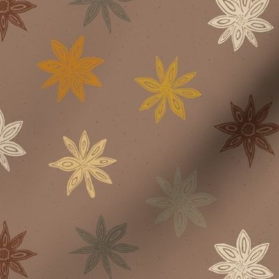 star anise in earth tones | medium