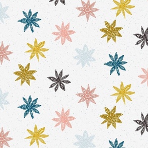 colorful star anise on light gray | large