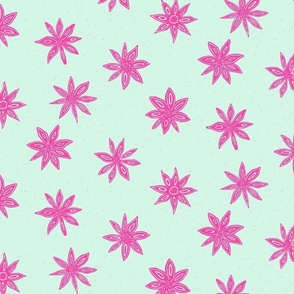 pink star anise on mint green | large