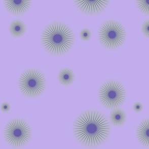 Lavender Field Starbursts