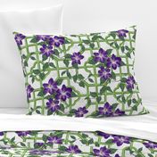 Clematis Trellis - Green, Purple