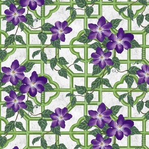 Clematis Trellis - Green, Purple