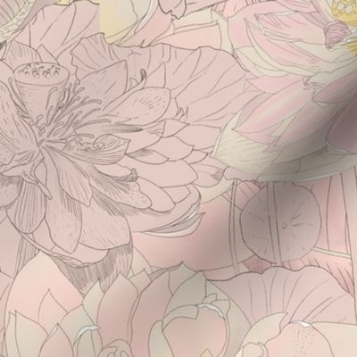 Lotus Blossoms, Soft Pastels Rose Pink, Hand Drawn Botanical Flowers, Large 