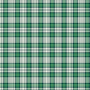 Green, white and red tartan / small