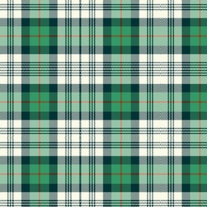 Green, white and red tartan / large
