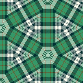 Green and white triangle tartan / large