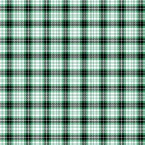 Green, white and black  traditional tartan  /small
