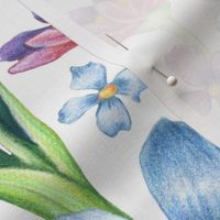 Wildflower walk -  Soft Colour Pencil Florals