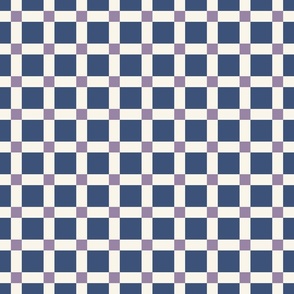 (S) Dusty blue and purple gingham check