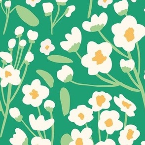 Large - Flowering White Blooms in May bring Good Luck - Whitethorn Bushes - Spirea Reeves Flowering Shrub - Spring Green
