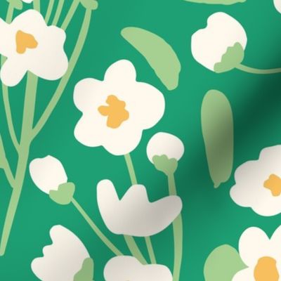 Jumbo - Flowering White Blooms in May bring Good Luck - Whitethorn Bushes - Spirea Reeves Flowering Shrub - Spring Green (Large)