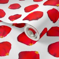 Realistic red rose petals romantic floral