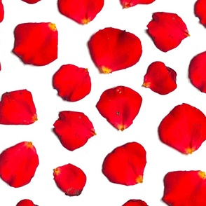 Realistic red rose petals romantic floral