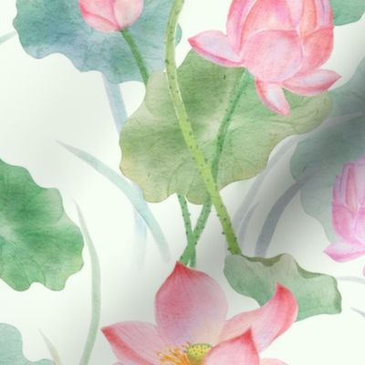 Watercolor Lotus Bloom on pale green