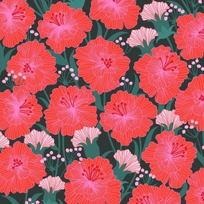 Carnation - Romantic Blooms