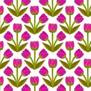 Tulip Trio // Pink