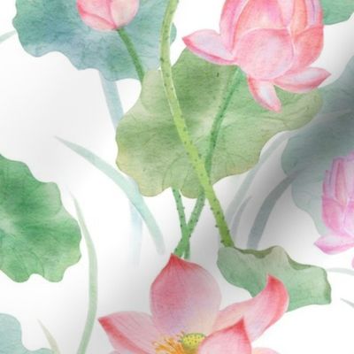 Watercolor Lotus Bloom on white