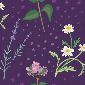 Large Medicinal herbal plants and flowers on dark purple background