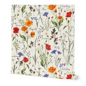 Multi-color Wildflowers Garden Floriography Poppies Cornflowers Large Scale
