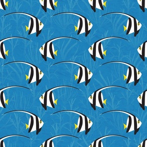 Bannerfish over Blue Coral