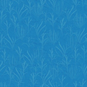 Coral Background for Reef Fish