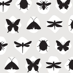 Black and White Insect Print - Butterflies Dragonflies Bees
