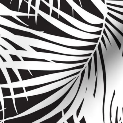 Black and White Palm Frond Pattern Tropical Leaf Print 
