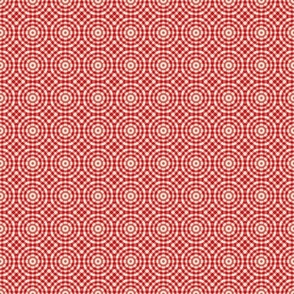 Modern Red Checked Pattern/ Picnic /Small scale