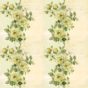 Light Green Roses on Paper - medium