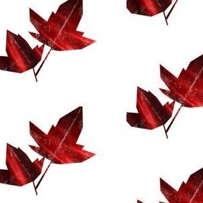 Autumn Splendor: Red Leaves on a White Background