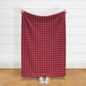 Rodeo Red Plaid - Medium Sized Scale