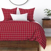 Rodeo Red Plaid - Medium Sized Scale