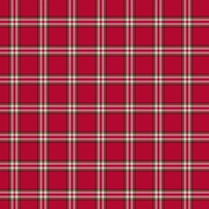 Rodeo Red Plaid - Medium Sized Scale