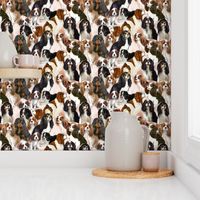 cavalier_spaniel_mural