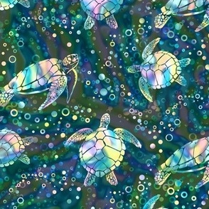 Abalone Turtles