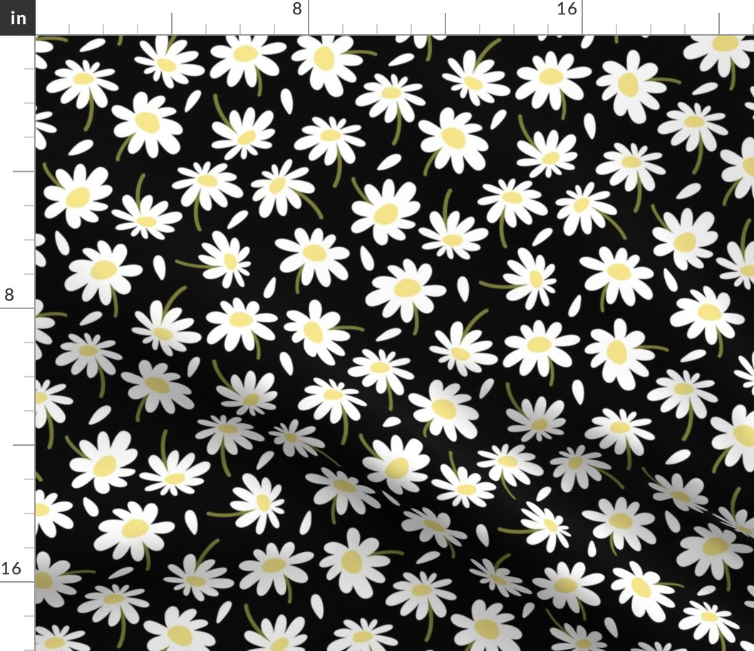 Chamomile flowers and petals / White flowers and petals on black background 