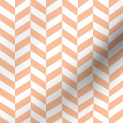 Bigger Scale Peach Fuzz Arrows Pantone Color of the Year 2024