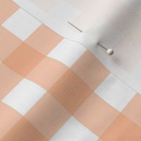 Small Gingham Checker Peach Fuzz Pantone Color of The Year 2024