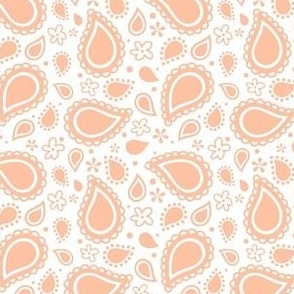 Small Scale Playful Paisley Pantone Peach Fuzz Color of The Year 2024