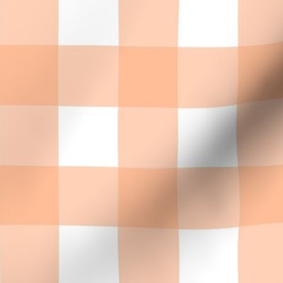 Medium Gingham Checker Peach Fuzz Pantone Color of The Year 2024