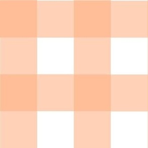 Medium Gingham Checker Peach Fuzz Pantone Color of The Year 2024