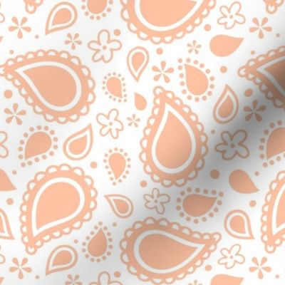 Medium Scale Playful Paisley Pantone Peach Fuzz Color of The Year 2024